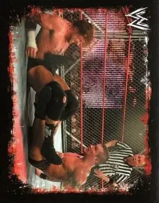 2009 Topps WWE Rivals Spanish #209 - Randy Orton