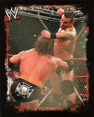 2009 Topps WWE Rivals Spanish #210 - Randy Orton