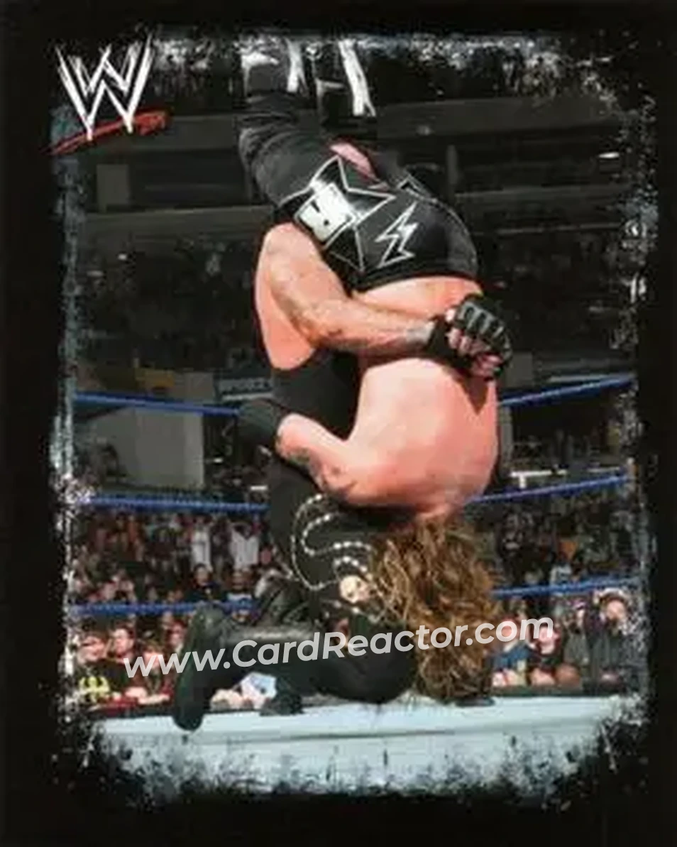 2009 Topps WWE Rivals Spanish #216 - The Undertaker - Front