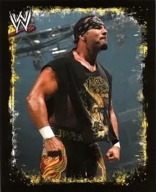 2009 Topps WWE Rivals Spanish feature card