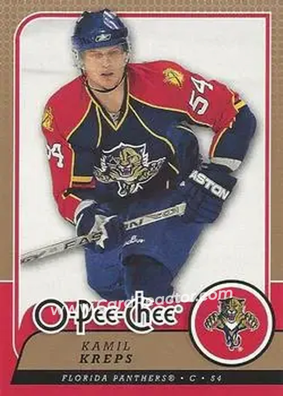 2008-09 O-Pee-Chee #19 - Kamil Kreps - Florida Panthers - Front