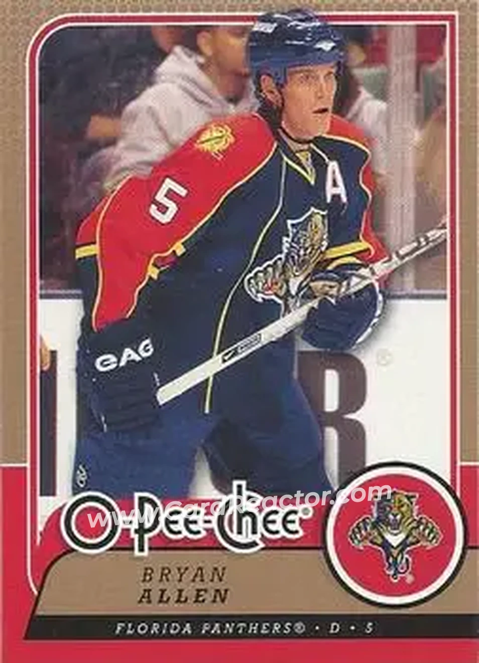 2008-09 O-Pee-Chee #29 - Bryan Allen - Florida Panthers - Front