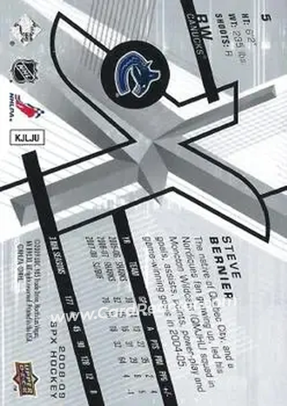 2008-09 SPx #5 - Steve Bernier - Vancouver Canucks - Back