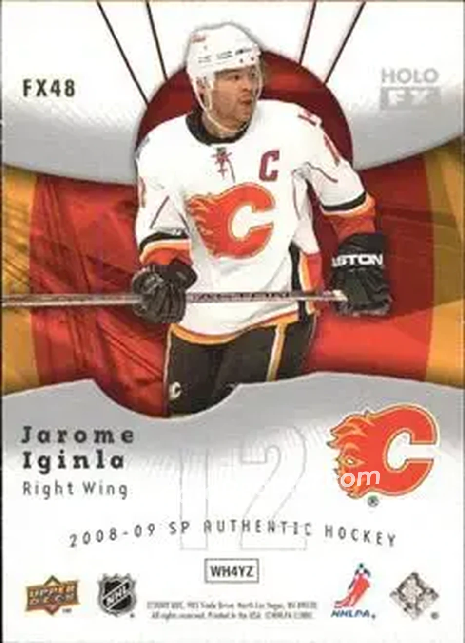 2008-09 SP Authentic - Holoview FX #FX48 - Jarome Iginla - Calgary Flames - Back 2008-09 SP Authentic - Holoview FX #FX48 - Jarome Iginla - Calgary Flames - Back