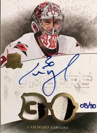 2010-11 Upper Deck The Cup feature card