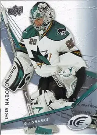 2008-09 Upper Deck Ice feature card