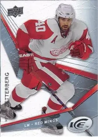 2008-09 Upper Deck Ice feature card