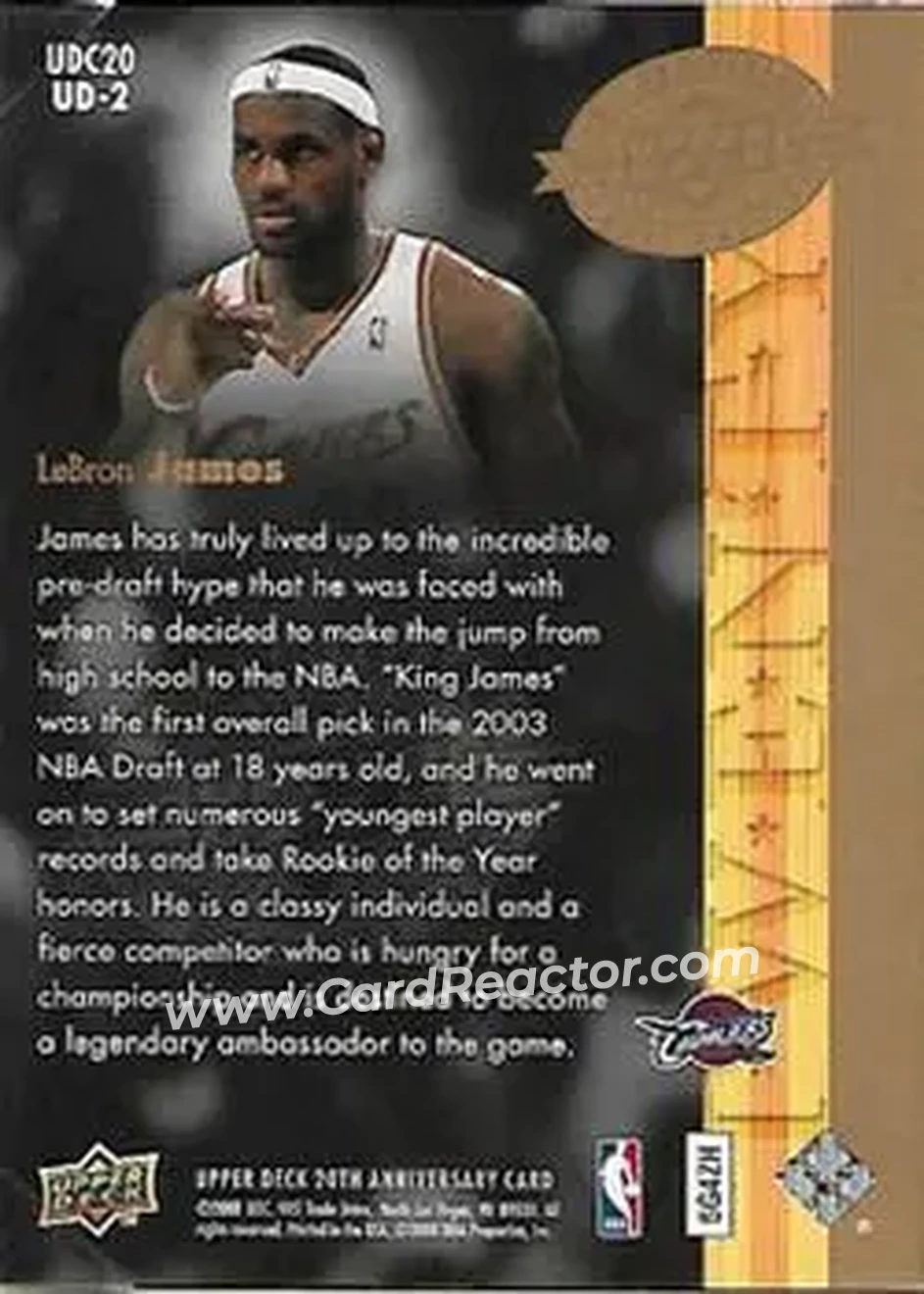 2008 Upper Deck 20th Anniversary #UD-2 - LeBron James - Cleveland Cavaliers - Back