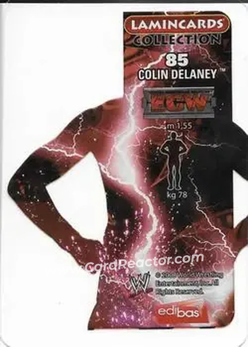 2008 Edibas WWE Lamincards #85 - Colin Delaney - Back