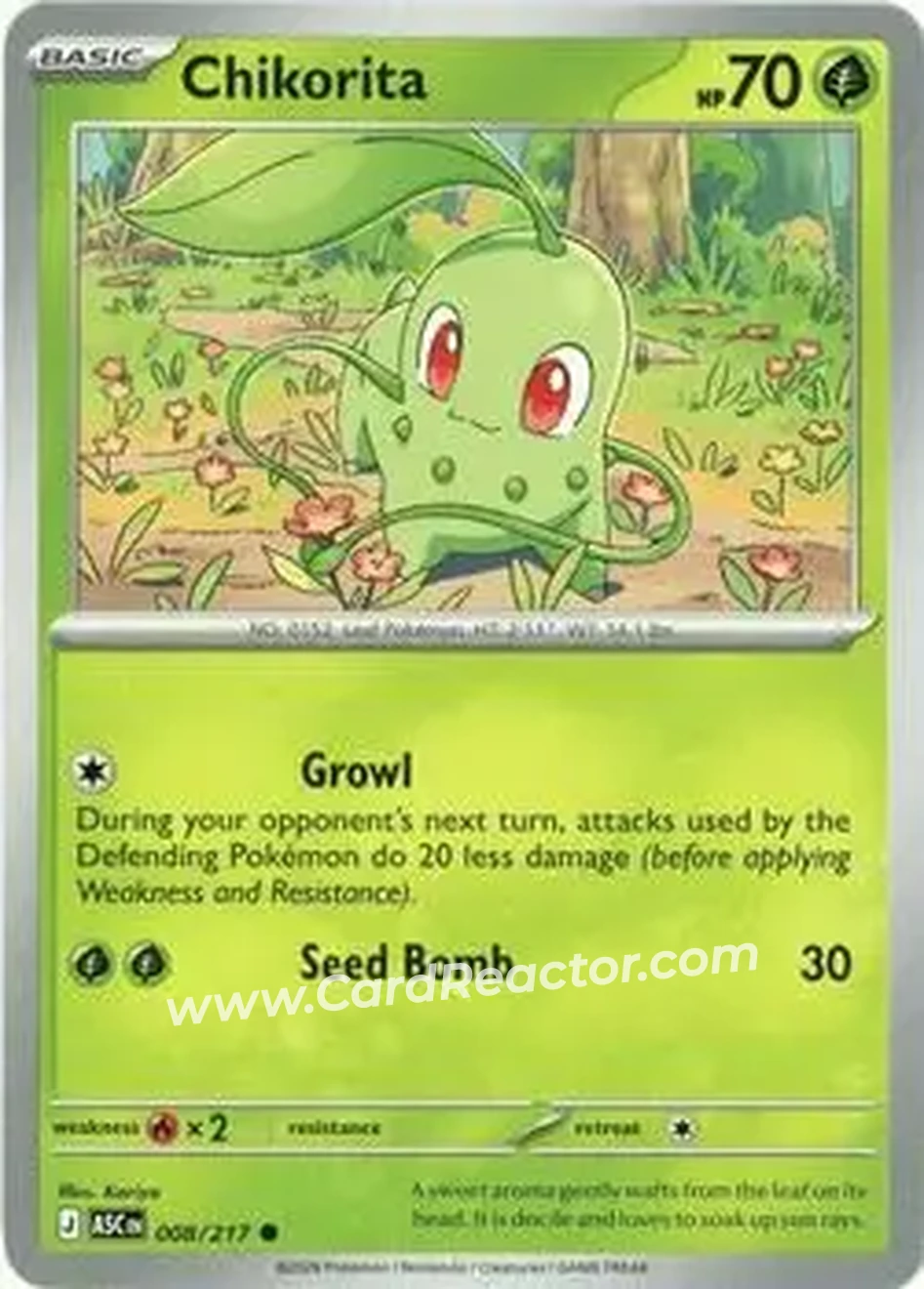 2026 Pokemon Mega Evolution Ascended Heroes #008/217 - Chikorita - Front