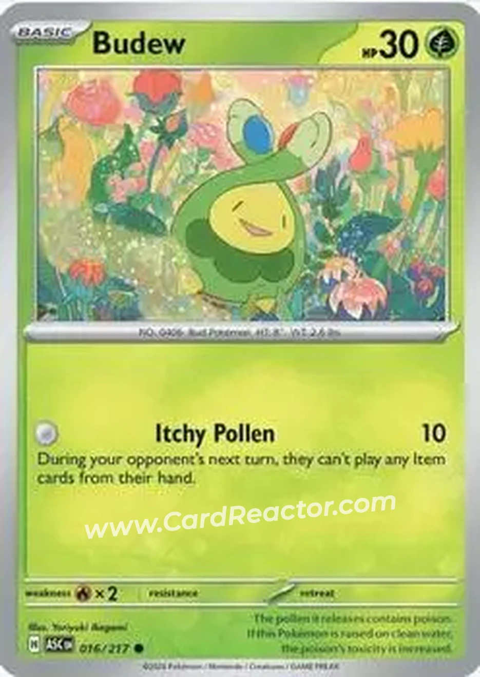 2026 Pokemon Mega Evolution Ascended Heroes #016/217 - Budew - Front