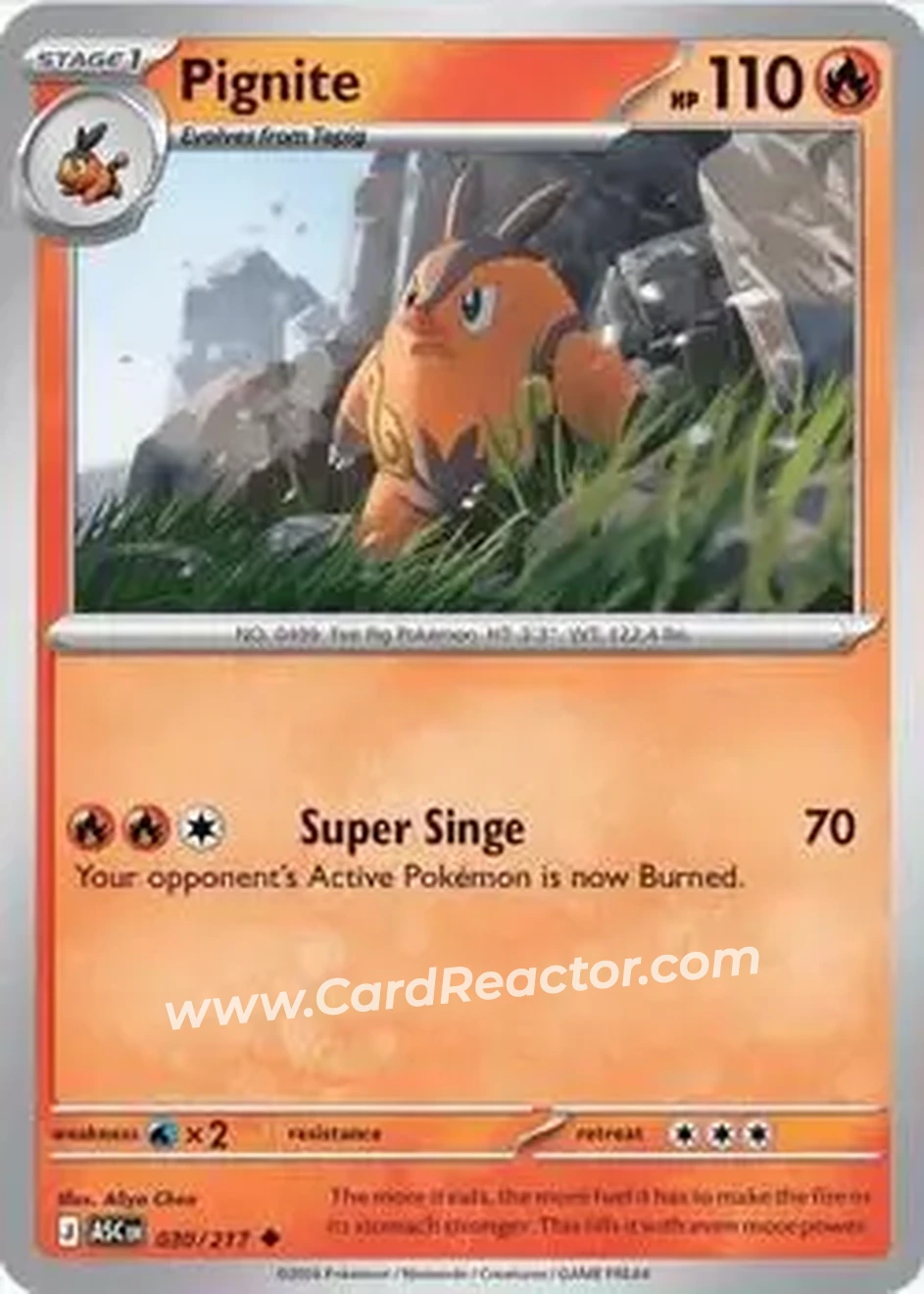 2026 Pokemon Mega Evolution Ascended Heroes #030/217 - Pignite