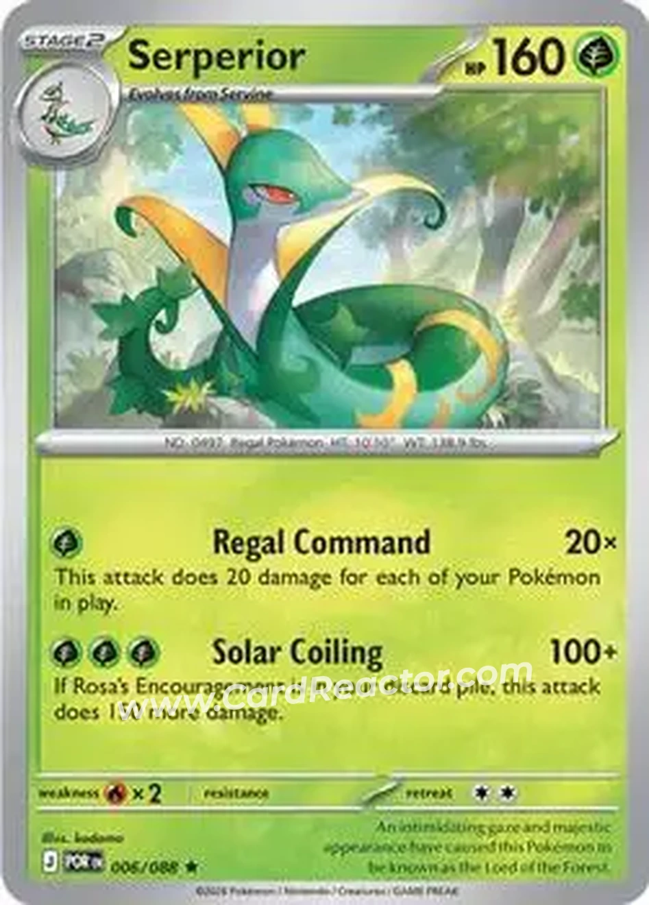 2026 Pokemon Mega Evolution Perfect Order #006/088 - ジャローダ - Front 2026 Pokemon Mega Evolution Perfect Order #006/088 - ジャローダ - Front