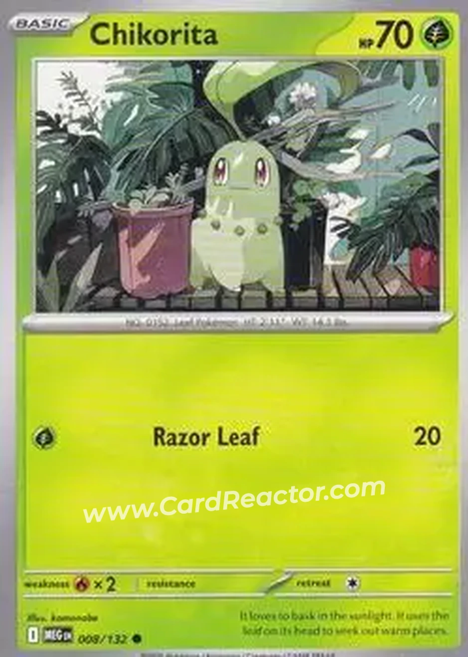 2025 Pokemon Mega Evolution #008/132 - Chikorita
