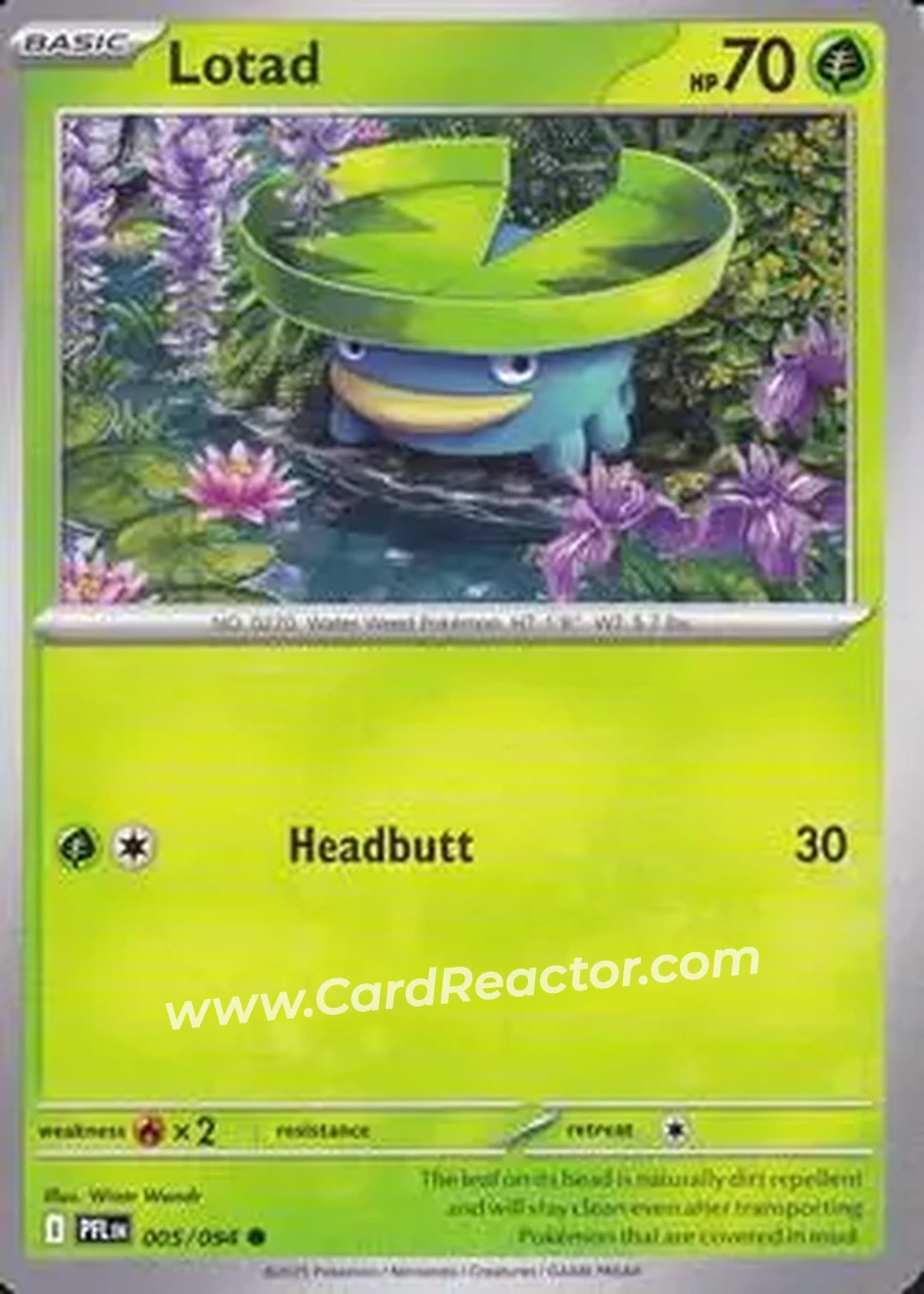 2025 Pokemon Mega Evolution Phantasmal Flames #005/094 - Lotad - Front