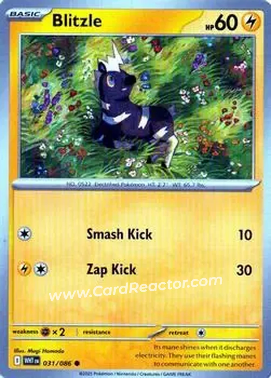 2025 Pokemon Scarlet & Violet White Flare #031/086 - Blitzle