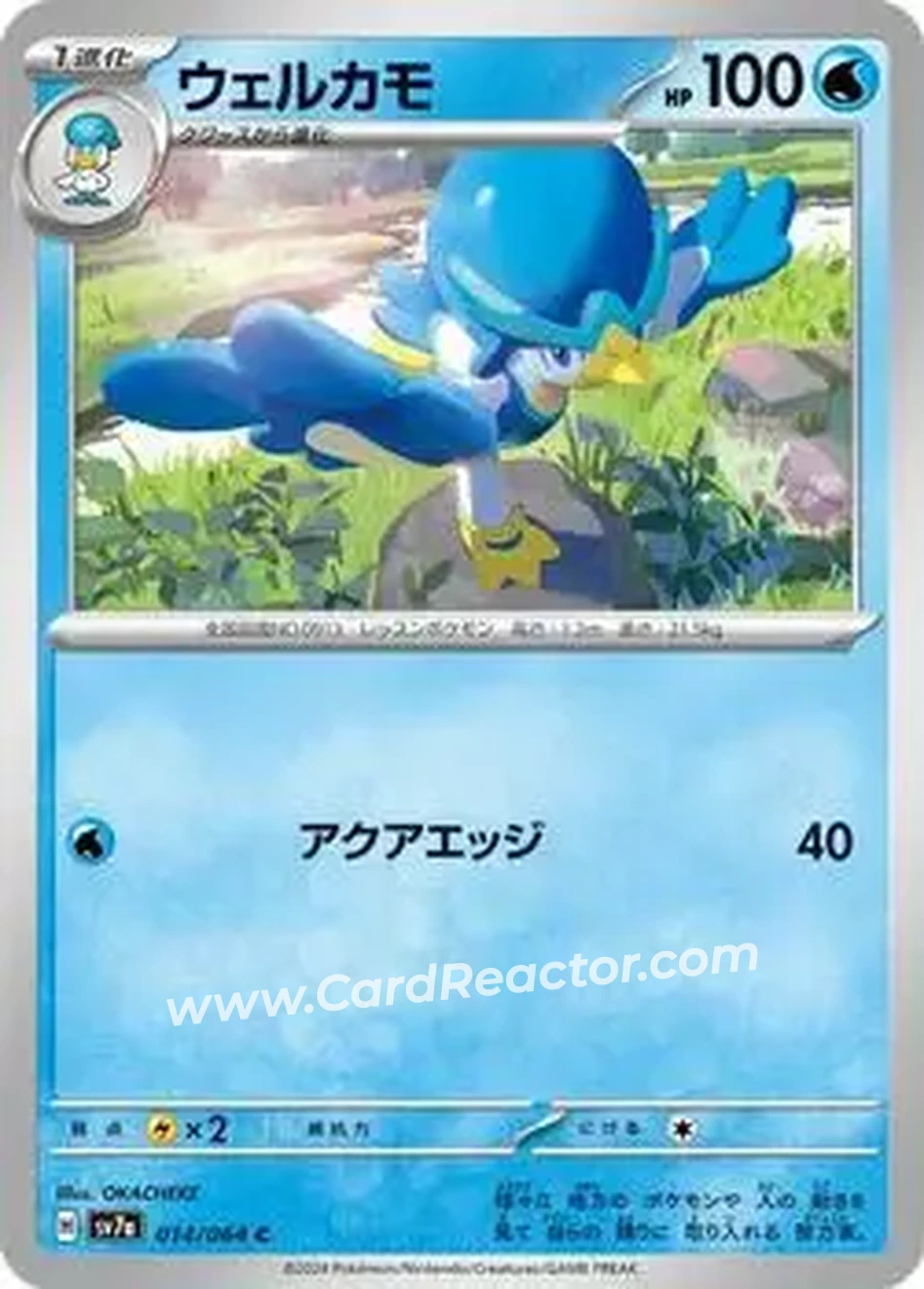 2024 Pokemon Scarlet & Violet Paradise Dragona (Japanese) #014/064 - Quaxwell - Front
