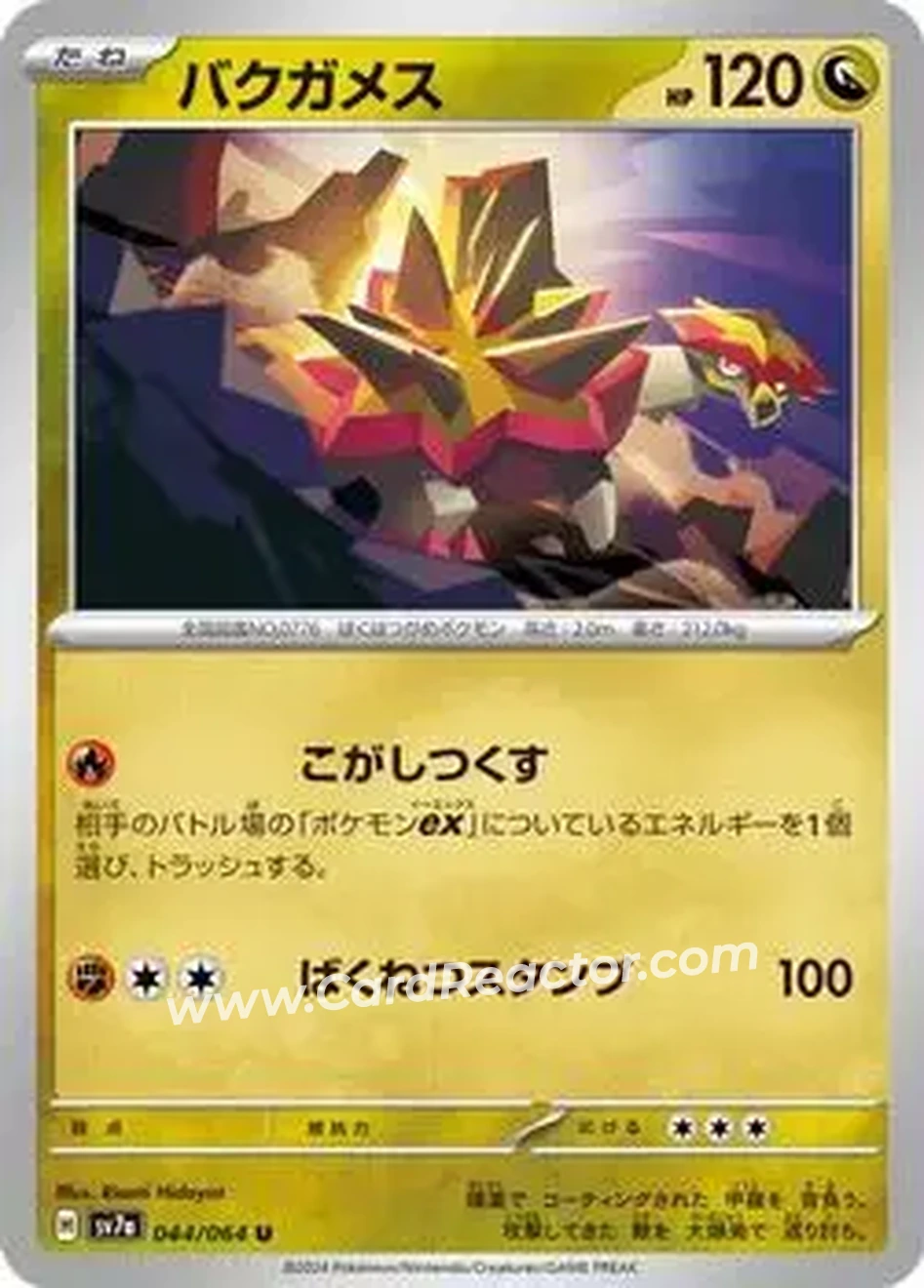 2024 Pokemon Scarlet & Violet Paradise Dragona (Japanese) #044/064 - Turtonator - Front 2024 Pokemon Scarlet & Violet Paradise Dragona (Japanese) #044/064 - Turtonator - Front