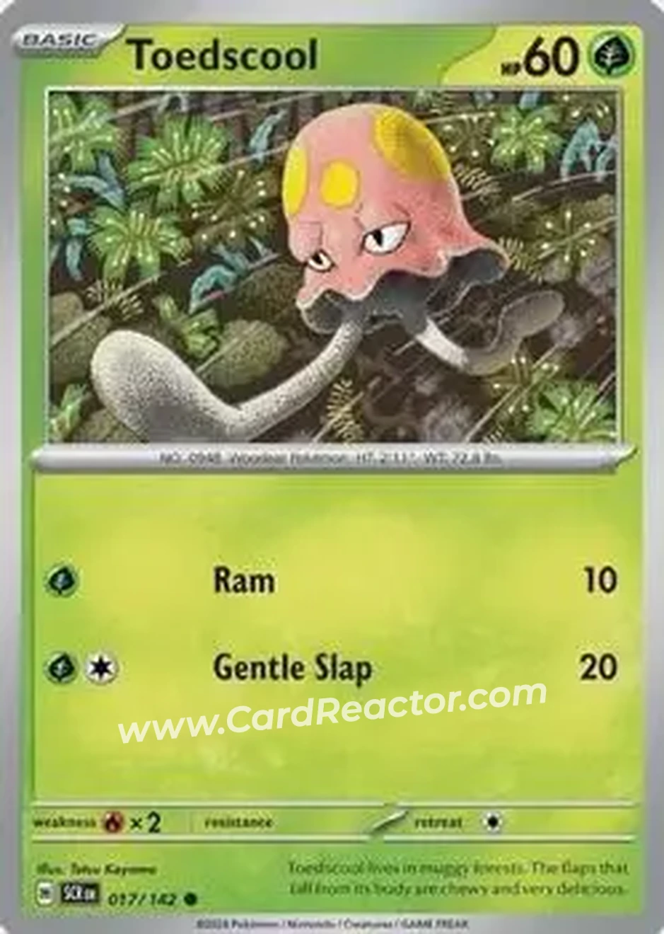 2024 Pokemon Scarlet & Violet Stellar Crown #017/142 - Toedscool - Front