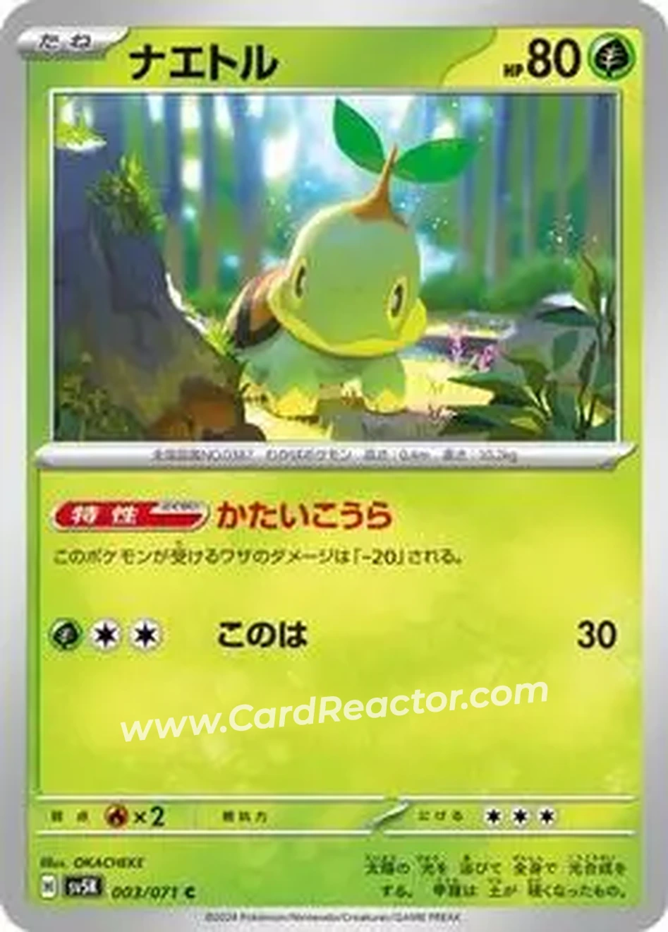 2024 Pokémon Scarlet & Violet Wild Force (Japanese) #003/071 - Turtwig