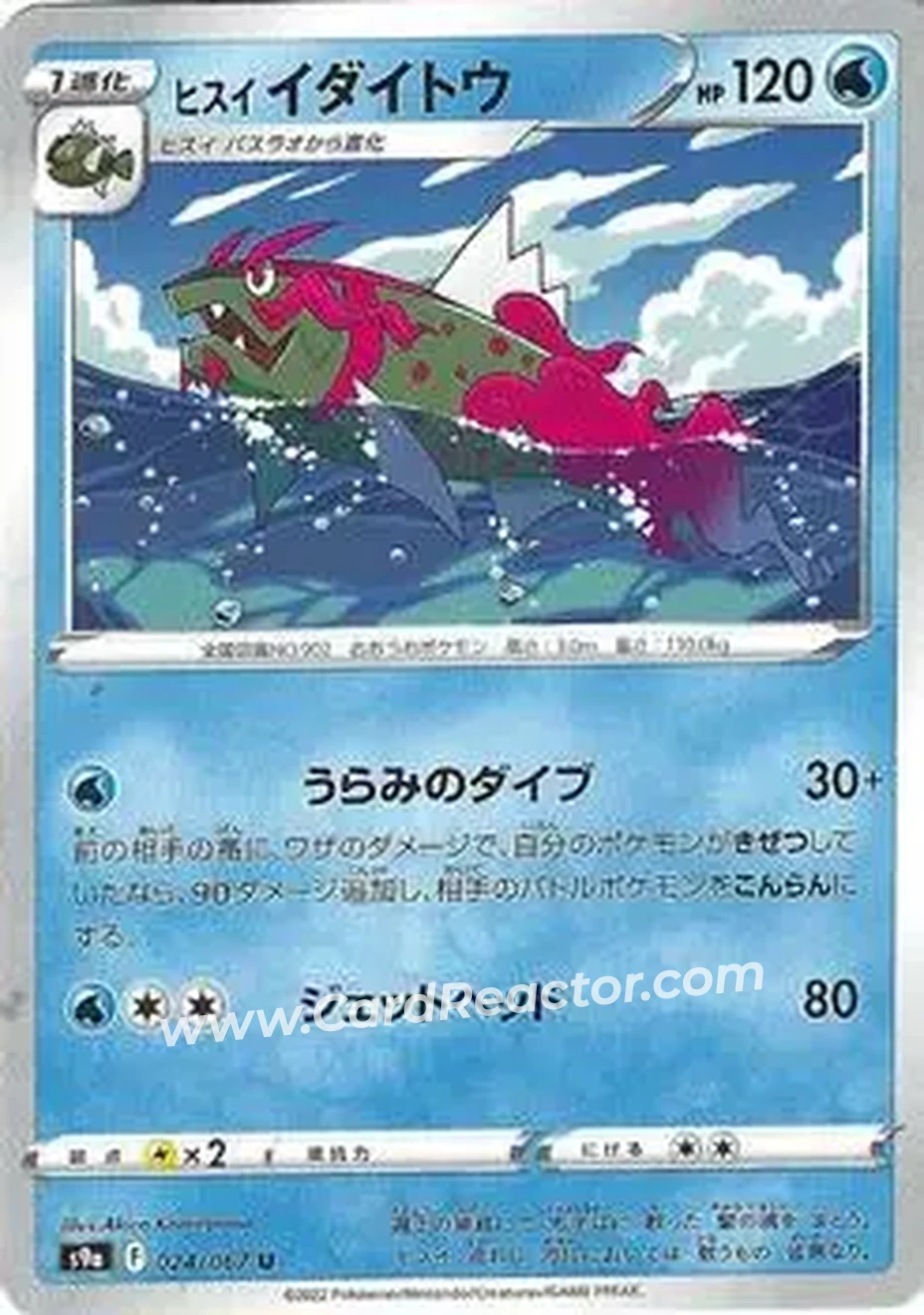 2022 Pokemon Sword & Shield Battle Region (Japanese) #024/067 - Hisuian Basculegion - Front 2022 Pokemon Sword & Shield Battle Region (Japanese) #024/067 - Hisuian Basculegion - Front