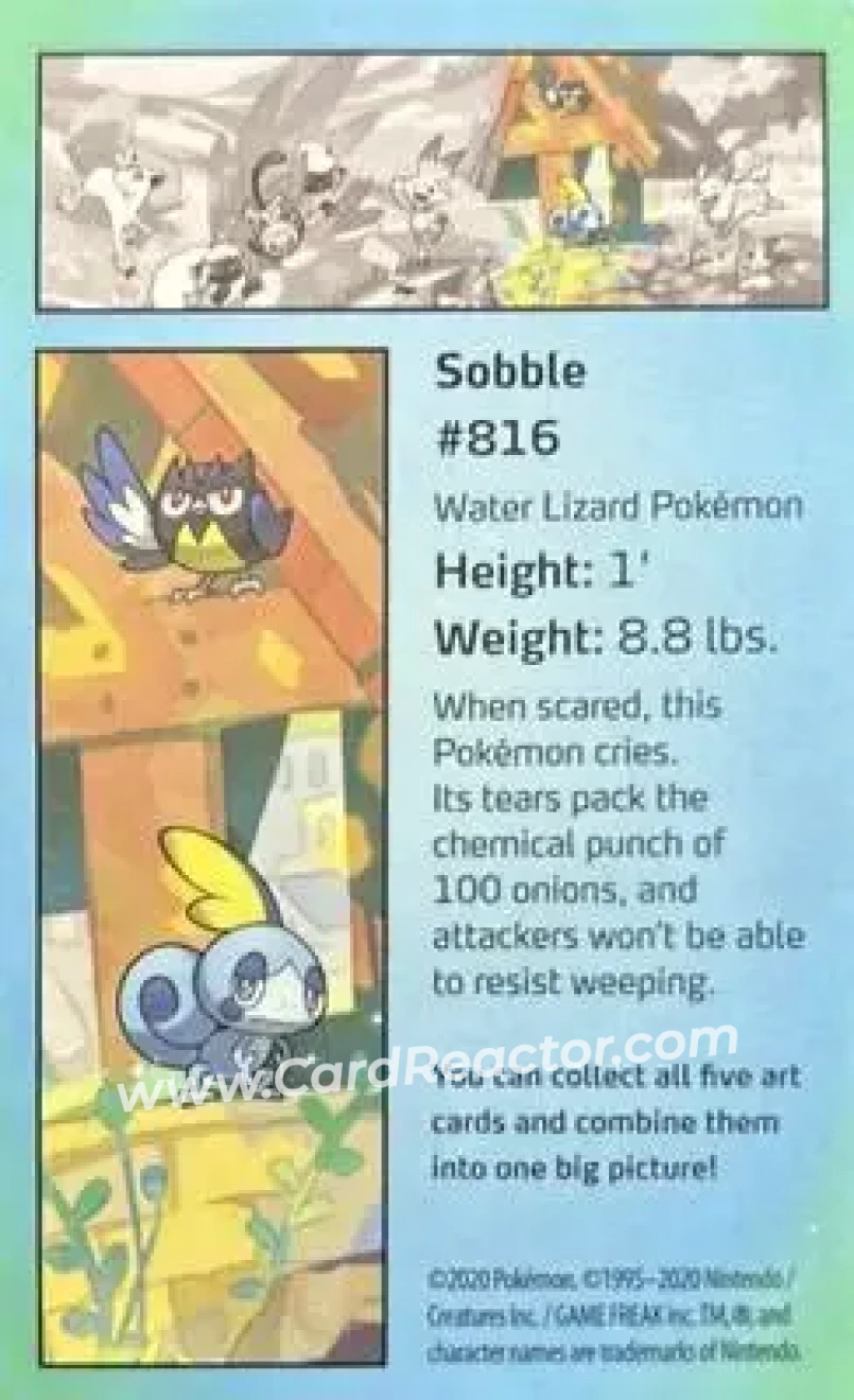 2020 Pokemon Galar Pals Mini-Tin Art Cards #NNO - Sobble - Rookidee - Back
