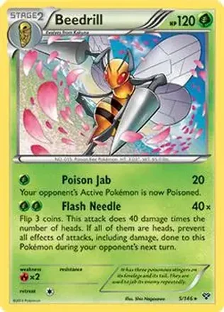 2014 Pokemon XY #5/146 - Beedrill