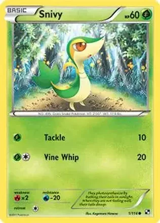 2011 Pokemon Black & White #1/114 - ツタージャ