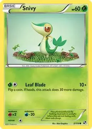 2011 Pokemon Black & White #2/114 - ツタージャ