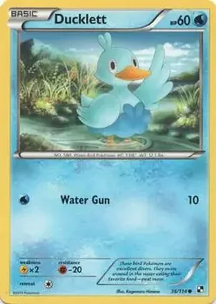 2011 Pokemon Black & White #36/114 - Ducklett
