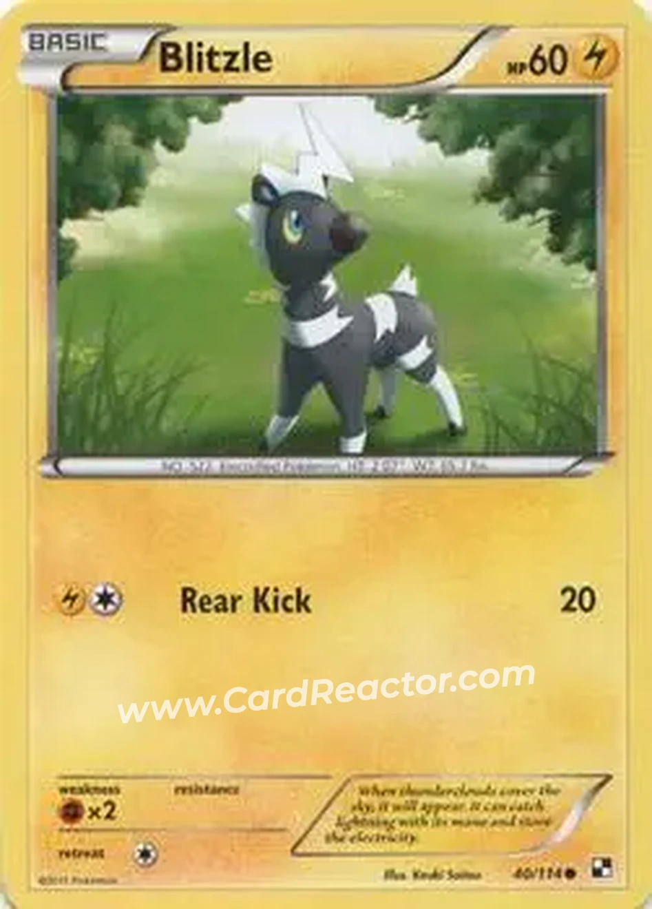 2011 Pokemon Black & White #40/114 - Blitzle - Front