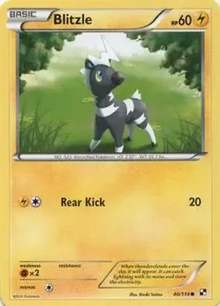 2011 Pokemon Black & White #40/114 - Blitzle