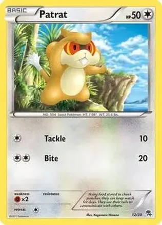 2011 Pokemon Black & White Trainer Kit: Excadrill & Zoroark #12/30 - Patrat
