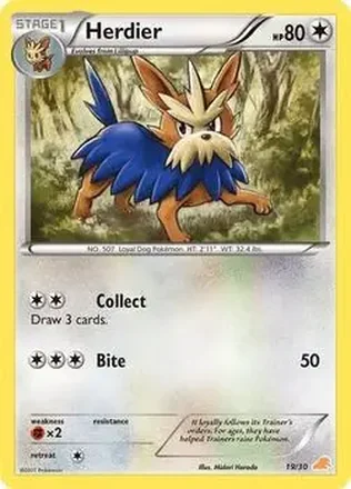 2011 Pokemon Black & White Trainer Kit: Excadrill & Zoroark #19/30 - Herdier