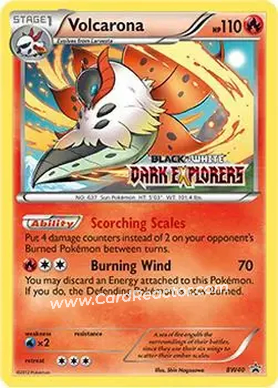 2011 Pokemon BW Black Star Promos #BW40 - ウルガモス - Front