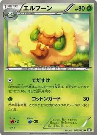 2010 Pokemon Black Collection (Japanese) feature card