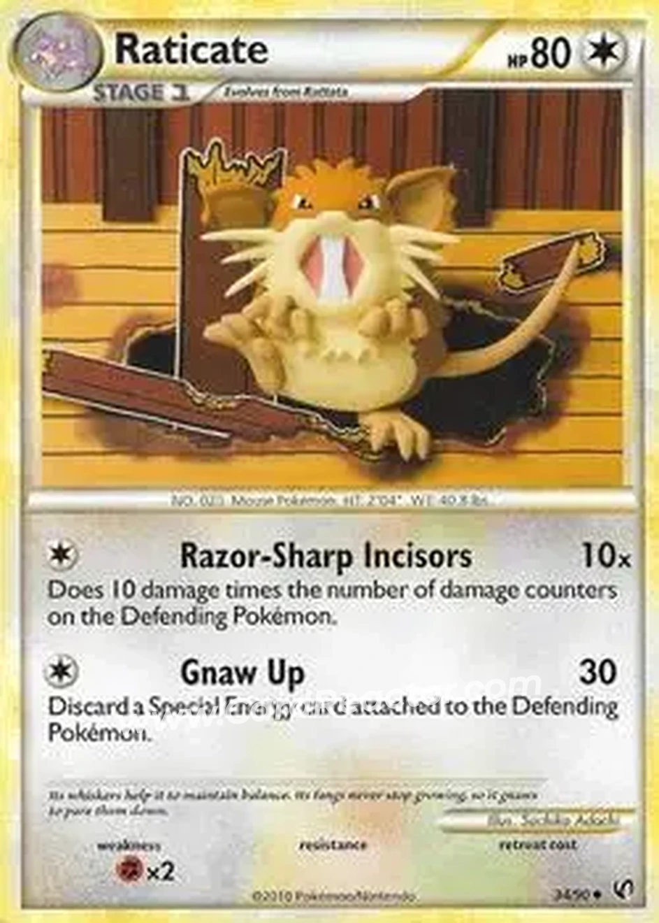 2010 Pokemon HeartGold & SoulSilver Undaunted #34/90 - Raticate - Front