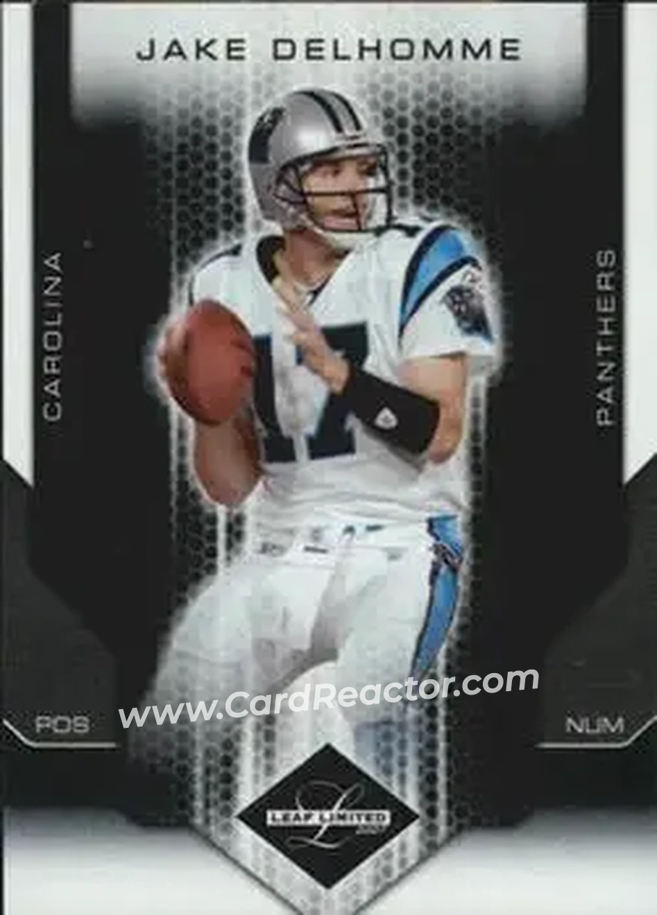 2007 Leaf Limited #14 - Jake Delhomme - Carolina Panthers - Front