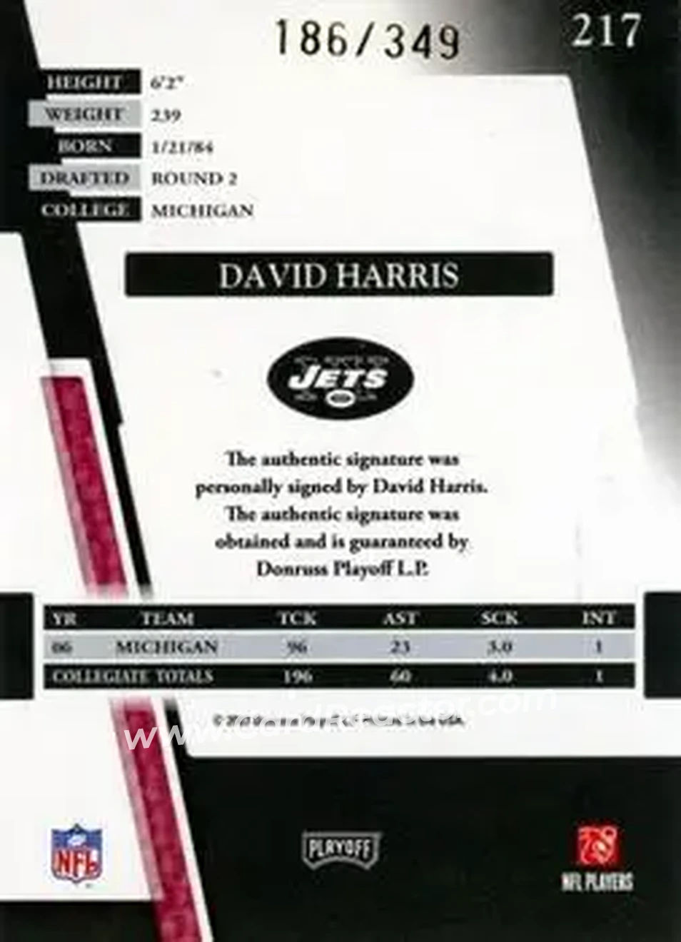 2007 Playoff Absolute Memorabilia #217 - David Harris - New York Jets - Back