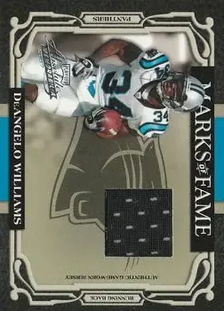 2007 Playoff Absolute Memorabilia feature card