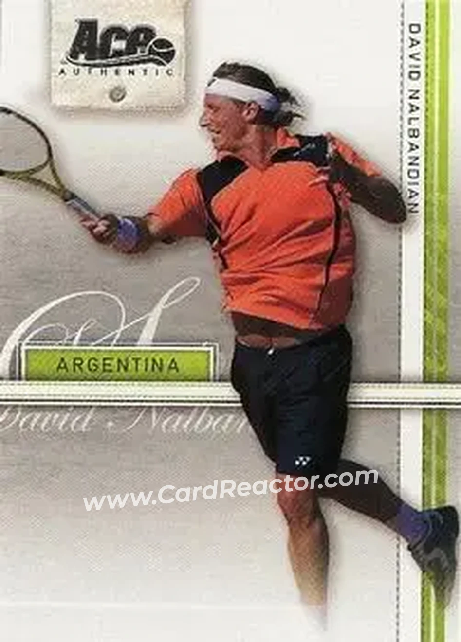 2007 Ace Authentic Straight Sets #11 - David Nalbandian - Front
