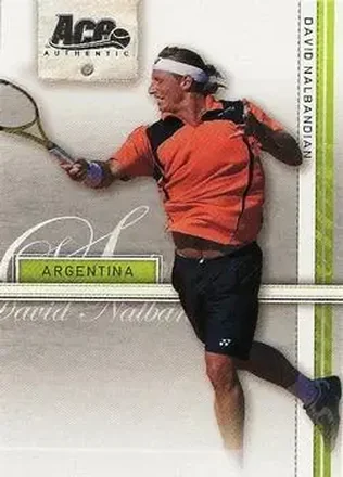 2007 Ace Authentic Straight Sets #11 - David Nalbandian