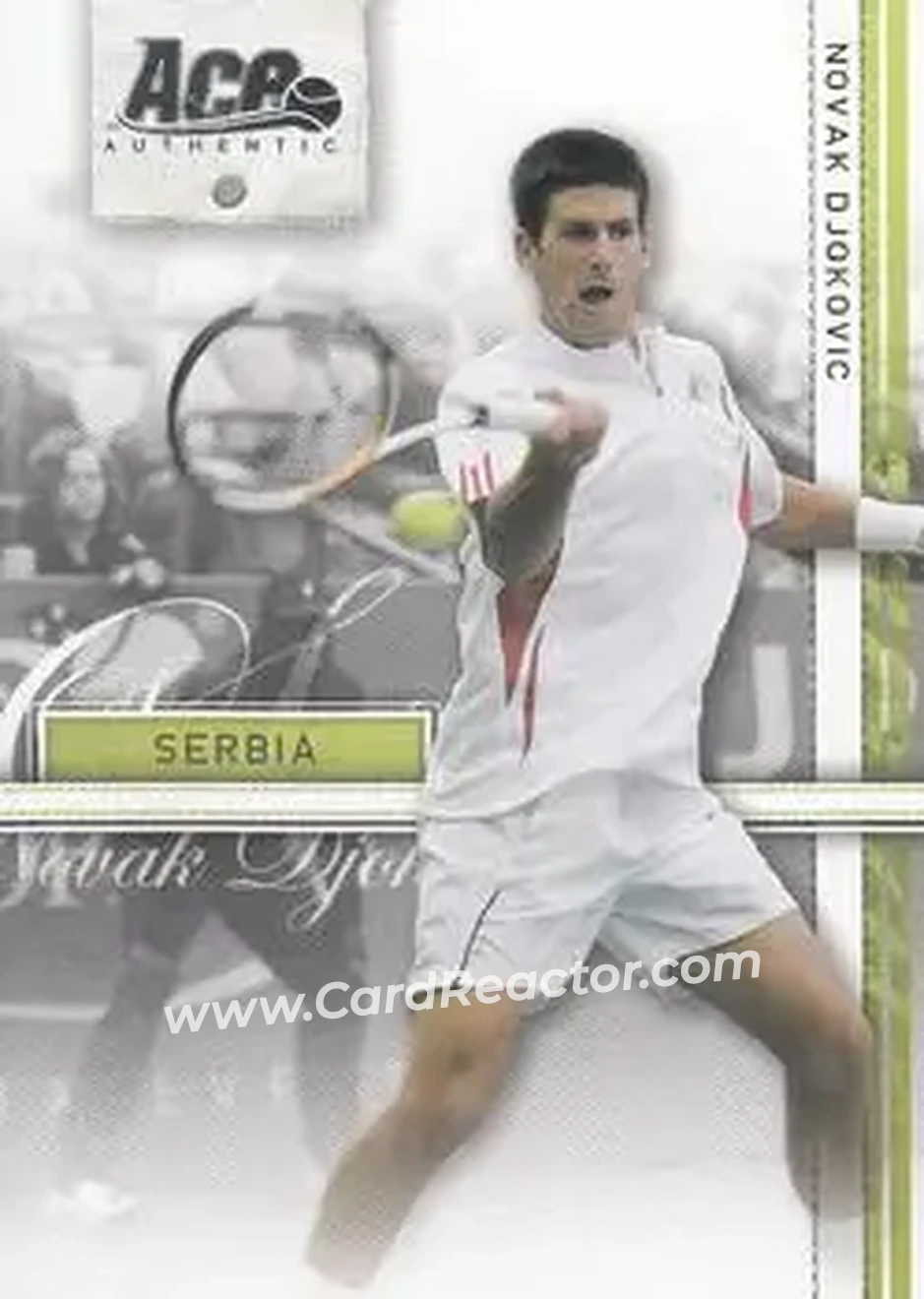 2007 Ace Authentic Straight Sets #16 - Novak Djokovic - Front
