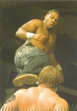 2007 Topps Action WWE #9 JTG
