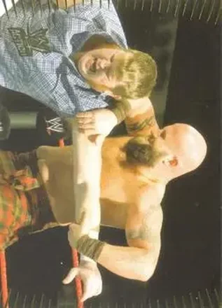 2007 Topps Action WWE #14 Rory McAllister