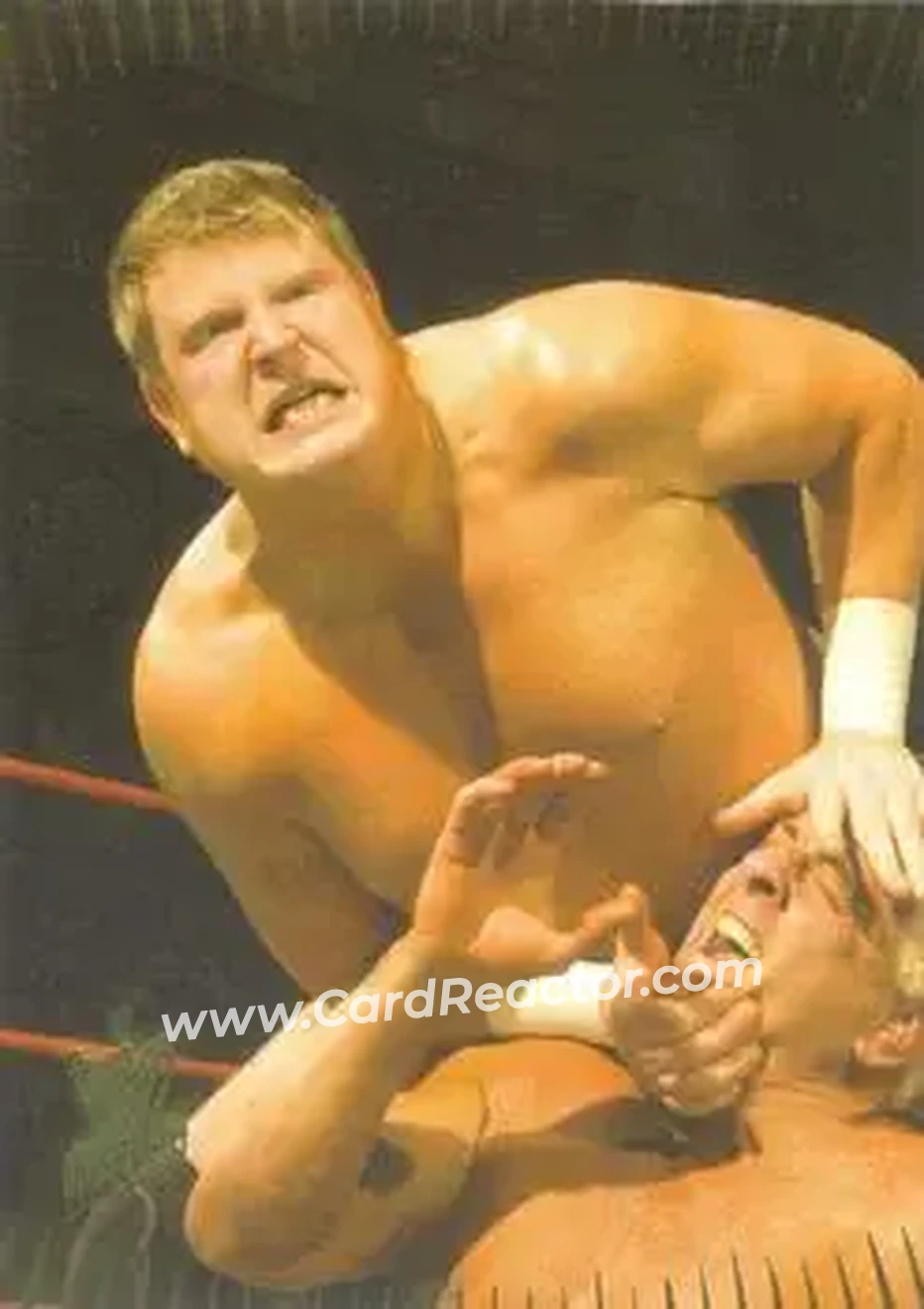 2007 Topps Action WWE #19 - Trevor Murdock - Front
