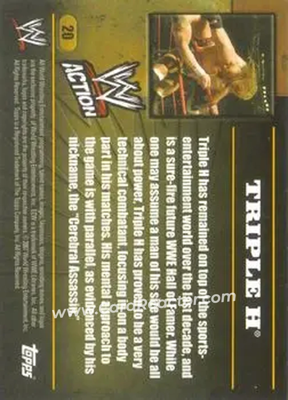 2007 Topps Action WWE #20 - Hunter Hearst Helmsley - Back