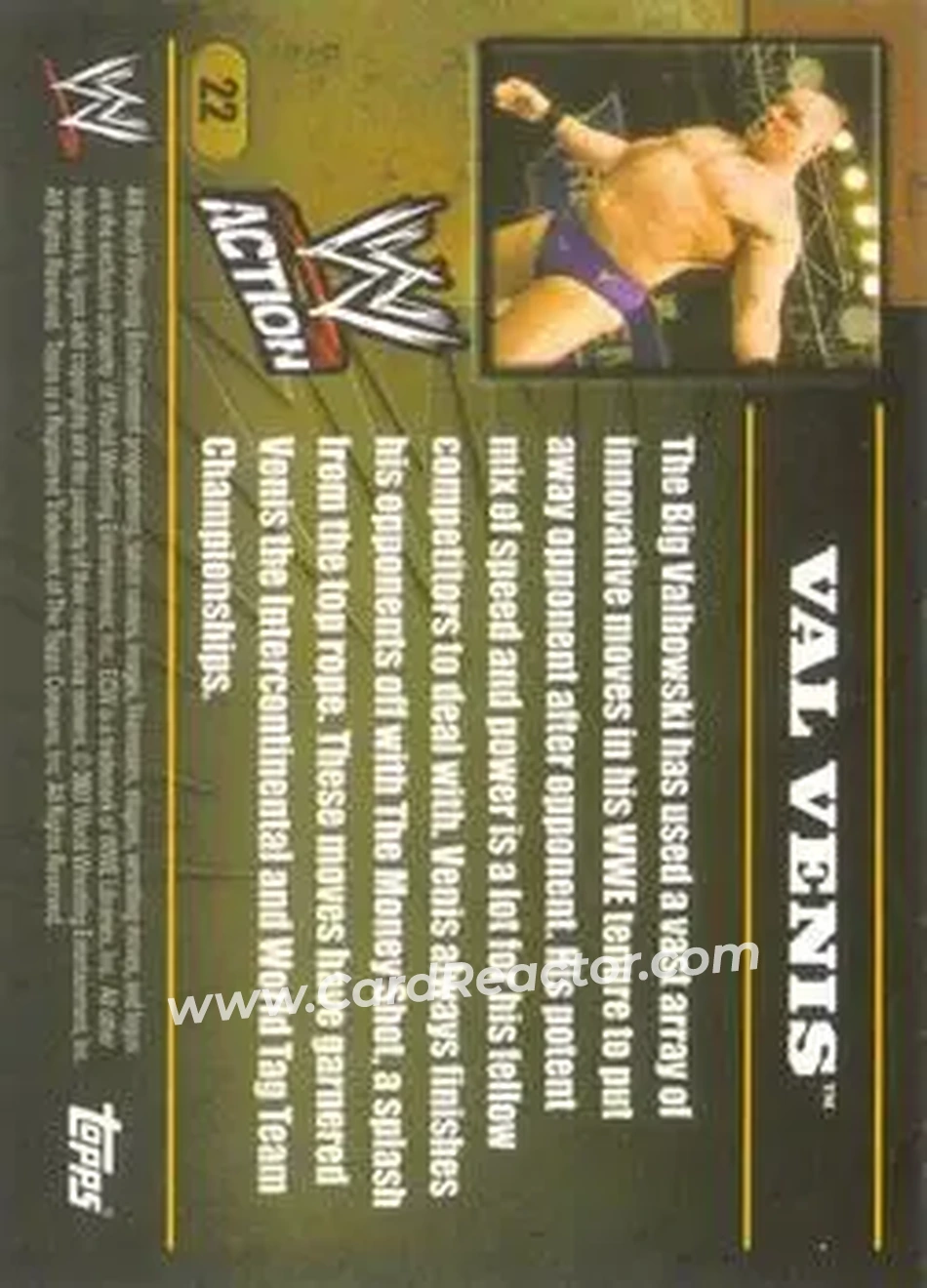 2007 Topps Action WWE #22 - Val Venis - Back