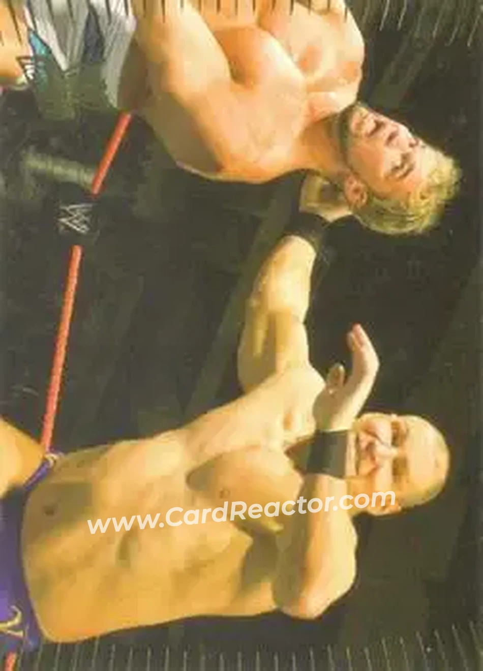 2007 Topps Action WWE #22 - Val Venis - Front