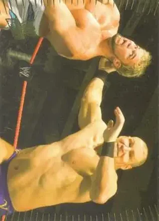 2007 Topps Action WWE #22 Val Venis